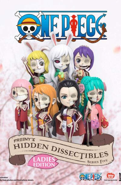 Mighty Jaxx: One Piece Blind Box Hidden Dissectibles Series 5 (Ladies ed.) Display (6)