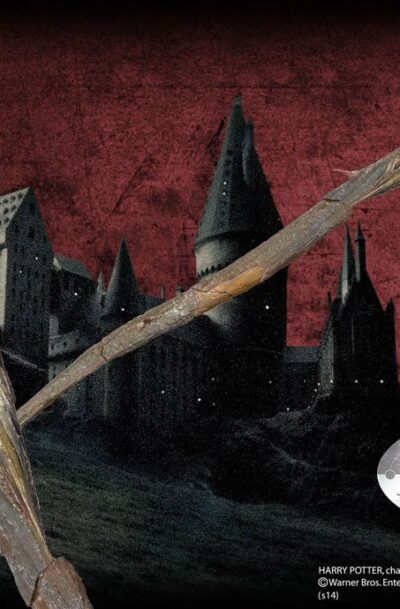 Noble Collection: Harry Potter Zauberstab Grindelwald (Charakter-Edition)