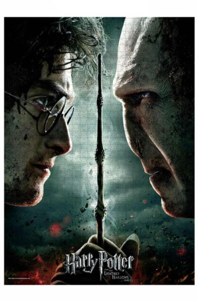 SD Toys: Harry Potter Puzzle Harry vs Voldemort
