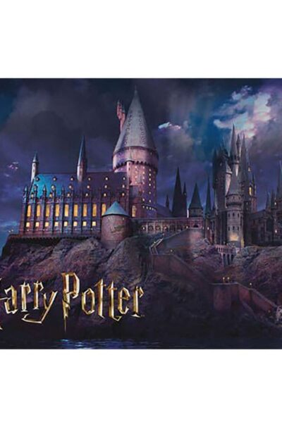 Thumbs Up: Harry Potter Puzzle Hogwarts (50 Teile)