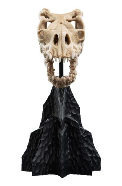 Weta Workshop: Herr der Ringe Mini Statue Skull of a Fell Beast 21 cm