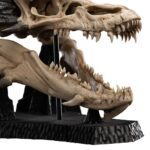 x_weta871304760_f