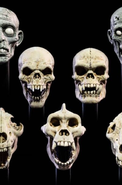 Mythic Legions: All Stars 6 Zubehör-Set für Actionfiguren Undead Heads Pack