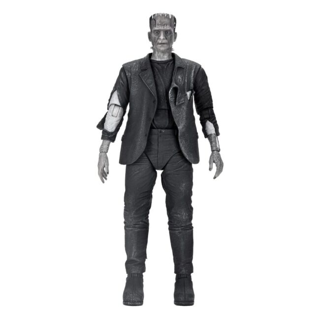 main_NECA04883-01.jpg