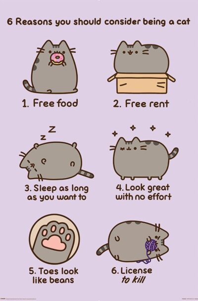 Pyramid International: Pusheen Poster Set Reasosn to be a Cat 61 x 91 cm (4)
