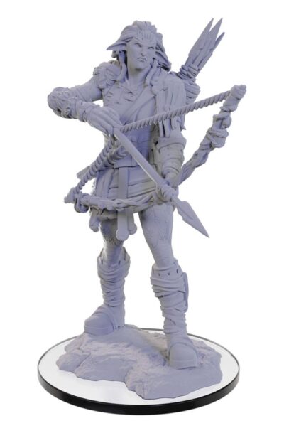 Wizkids: Pathfinder Deep Cuts Miniatur unbemalt Wood Giant