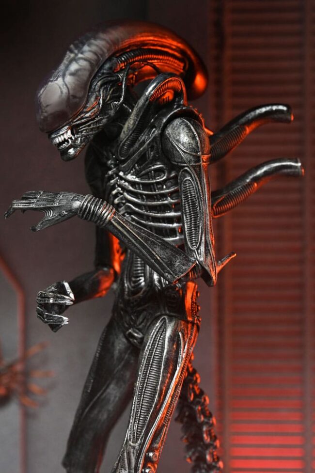 x_NECA51742-01_4-1.jpg