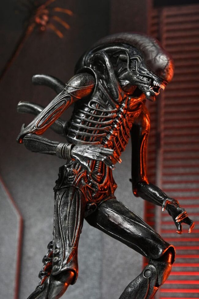 x_NECA51742-01_4.jpg
