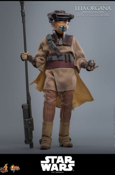 /6Hot Toys: Star Wars - Episode VI "Leia Organa (Boushh Disguise)" 1/6 Actionfigur (Q1/2027)