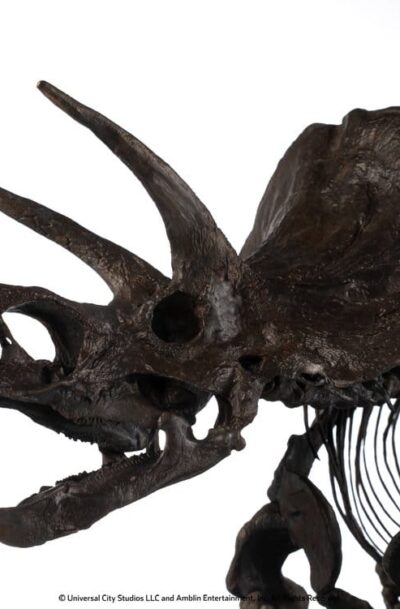 ECC: Jurassic World "Triceratops Fossil Skeleton Bronze" 1/12 ECC Elite Creature Line Statue (Q4/2026)