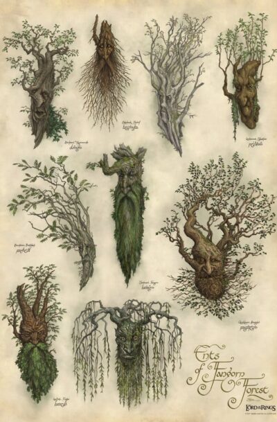 WETA: Der Hobbit "Ent's of Fangorn Forest" 59 x 30 cm ungerahmt Kunstdruck