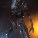x_neca51598-01_b