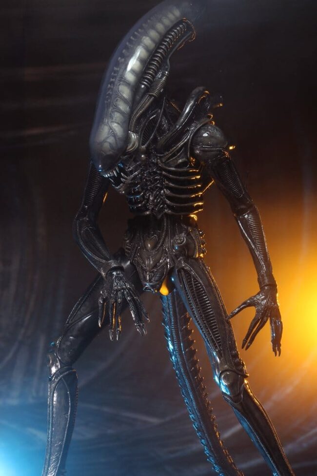 x_neca51598-01_b