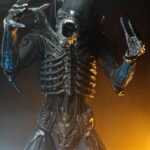 x_neca51598-01_c