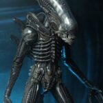 x_neca51598-01_d