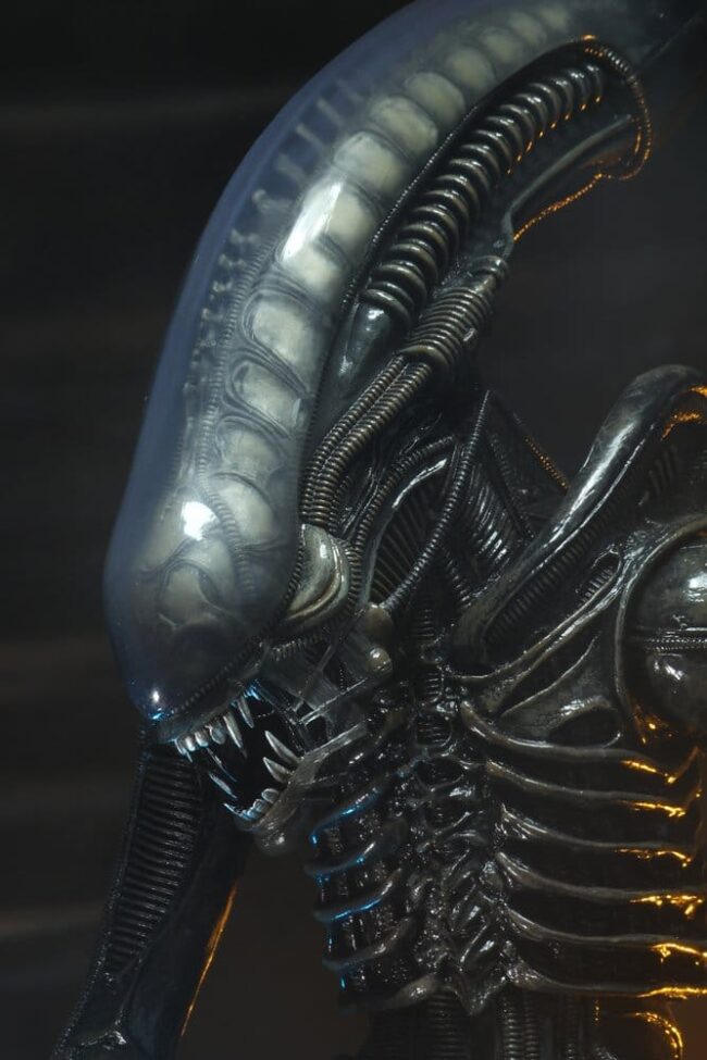 x_neca51598-01_e