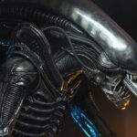 x_neca51598-01_h