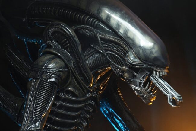 x_neca51598-01_h