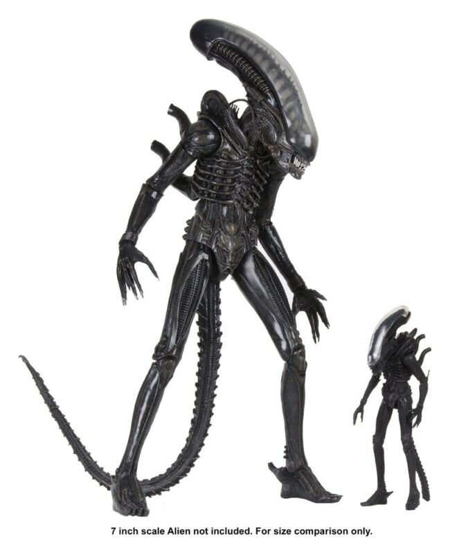 x_neca51598-01_l