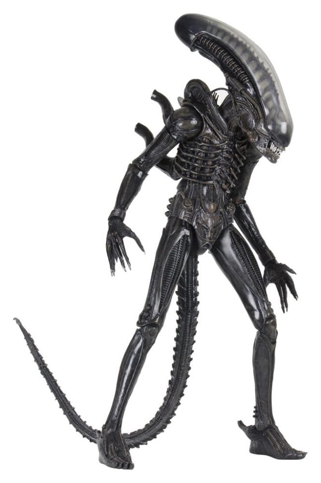 x_neca51598-01_m