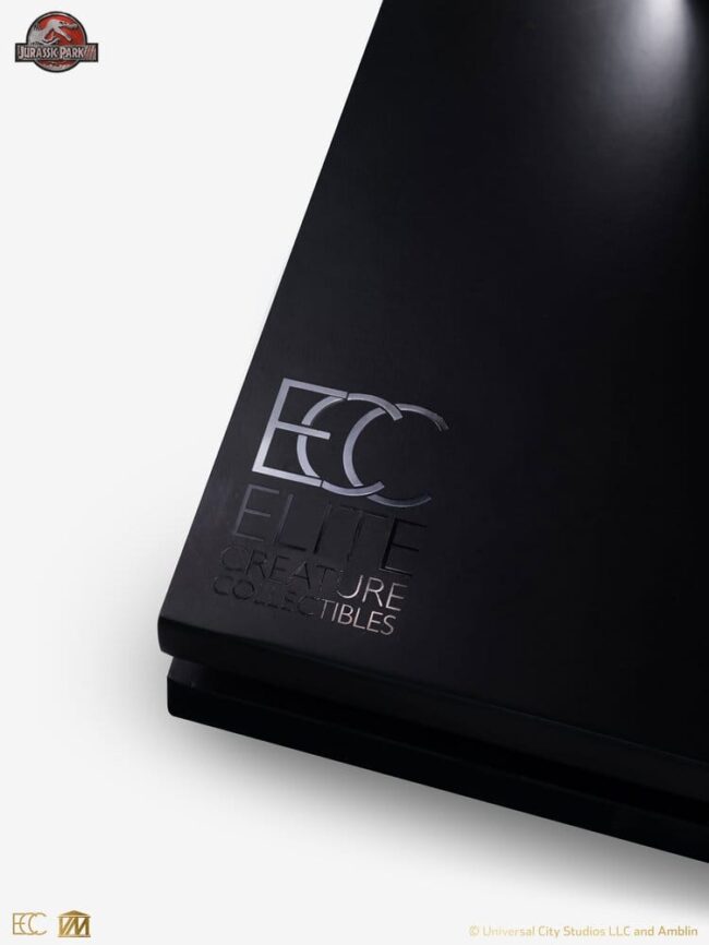 x_ecc19020_j