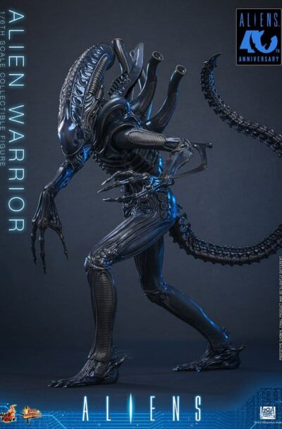 Hot Toys: Alien "Alien Warrior" 1/6 Actionfigure (Q3/2027)