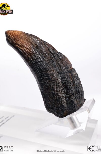 ECC: Jurassic Park "Velociraptor Toenail Type A” 1/1 Prop Replika (Q1/2027)