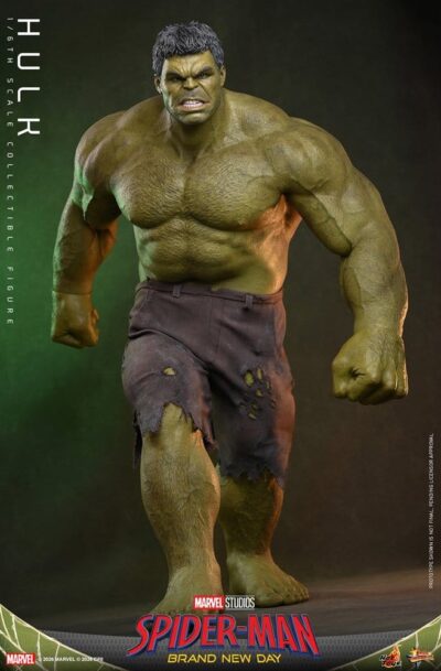 Hot Toys: Marvel "Hulk" 1/6 Scale Figur (Q4/2027)