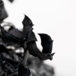 x_pure015ba_k
